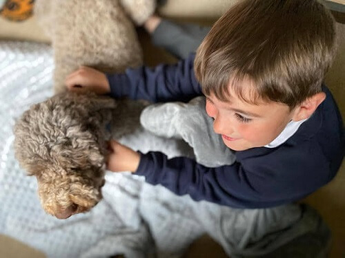 boy and dog playing on Mela weighted blanket 