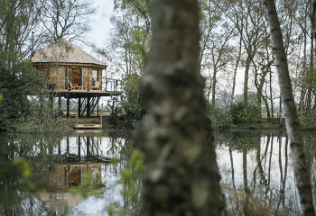 Unique Treehouse in Lincolnshire Wolds 